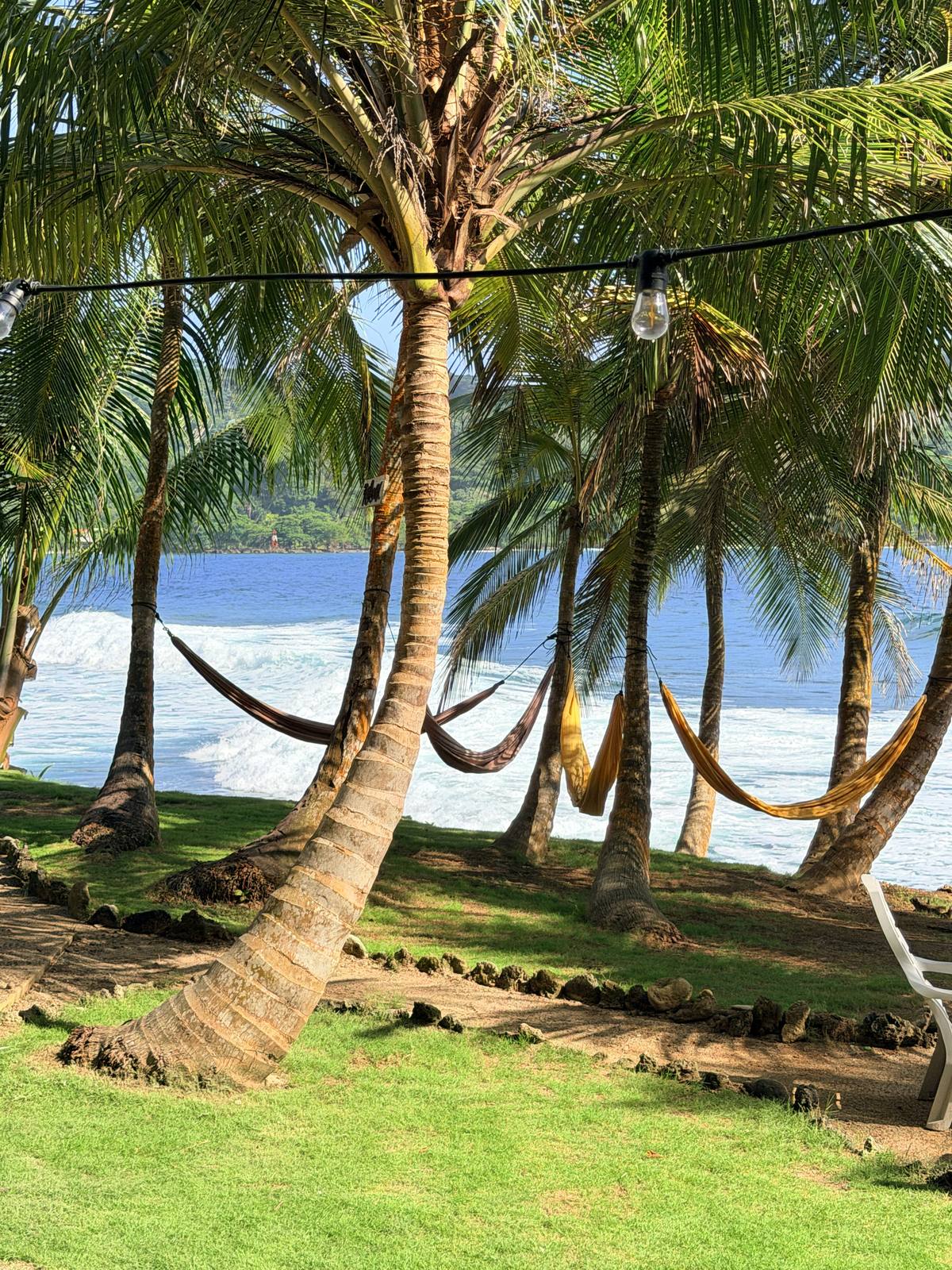 Hamacas entre palmeras frente al mar en Sapzurro